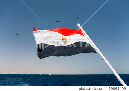 The national flag of Egypt is flapping in the wind 19065499