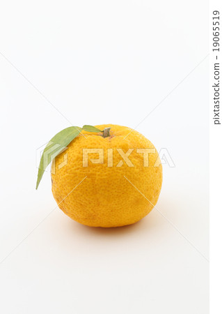 Citron Citron 19065519