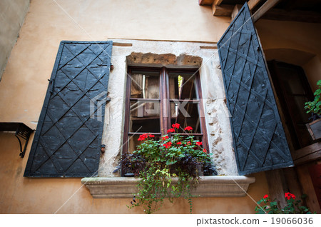 window with flowers from the front window with flowers from the front 19066036