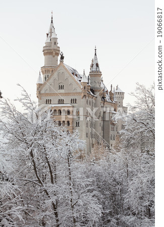 Neuschwanstein Castle in winter landscape Neuschwanstein Castle in winter landscape 19066817