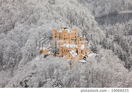 Hohenschwangau Castle in winter landscape 19066835