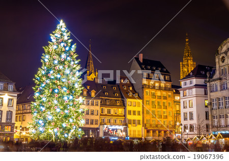 Christmas tree in Strasbourg, Capital of Christmas Christmas tree in Strasbourg, Capital of Christmas 19067396