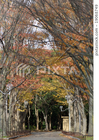 Scenery of Senboku New Town Nishihara Park Photo taken in December 2015 19068749