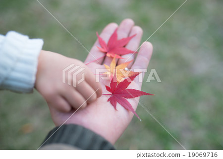 父母玩樹葉 父母玩樹葉 19069716