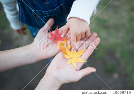 父母玩樹葉 父母玩樹葉 19069719