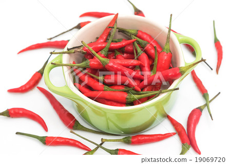 chili pepper isolated on a white background chili pepper isolated on a white background 19069720
