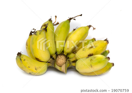 Bunch Cultivated Banana ripe on white background 19070759
