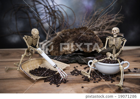 Still life with skull and death. Still life with skull and death. 19071286