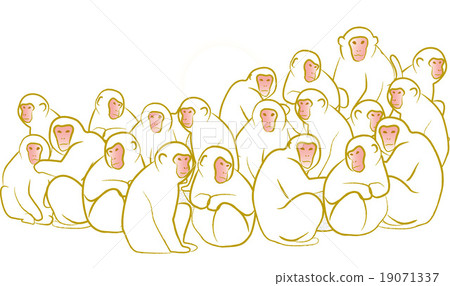 猴群白色材料 猴群白色材料 19071337