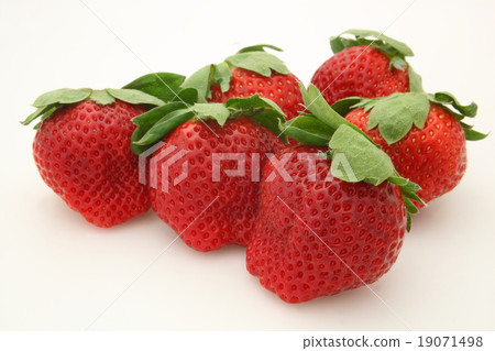 草莓滿溢 19071498