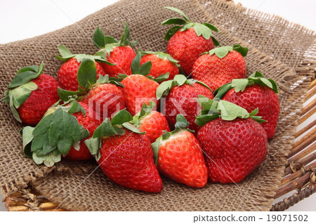 草莓草莓Yomenoka 草莓草莓Yomenoka 19071502