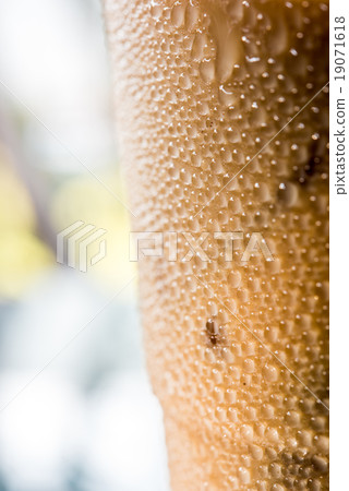 water drops on the plastic glass of iced coffee water drops on the plastic glass of iced coffee 19071618
