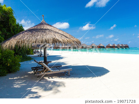 beach with  Maldives 19071728