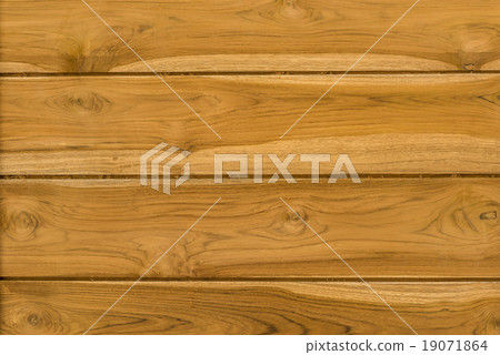 wood texture for door 19071864