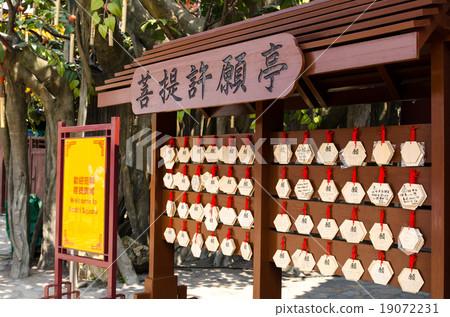 Wishing tree, Ngong Ping Village, Lantau Island Wishing tree, Ngong Ping Village, Lantau Island 19072231