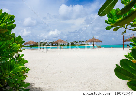 beach with  Maldives 19072747