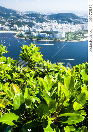 Rio de Janeiro, Brazil Rio de Janeiro, Brazil 19072983