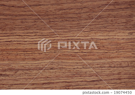 古夷蘇木 19074450