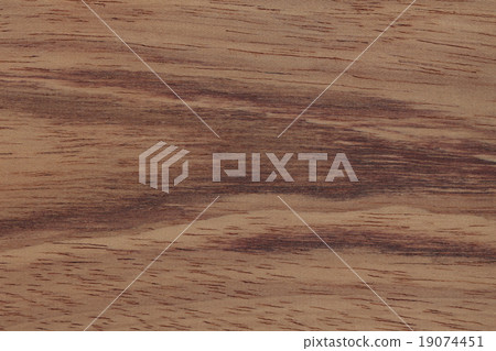 古夷蘇木 19074451