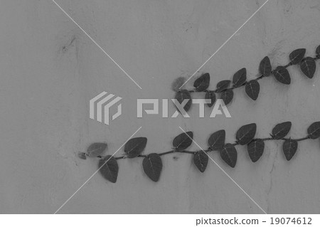 Green Plant growing on a brick wall Green Plant growing on a brick wall 19074612
