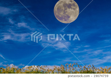 與月亮景觀 19074739