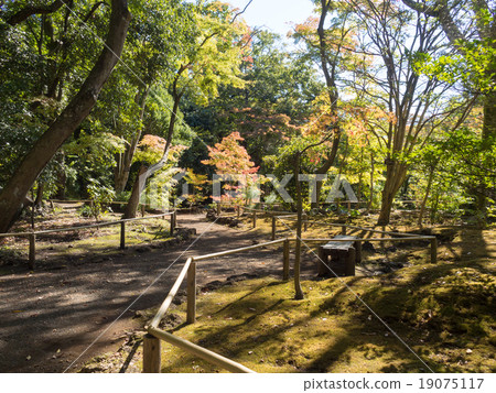 Yusuzen秋葉 19075117