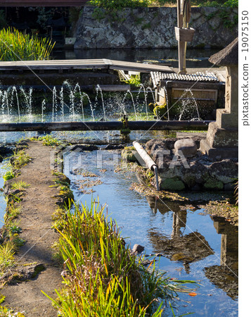 Mishima village algae village 19075150