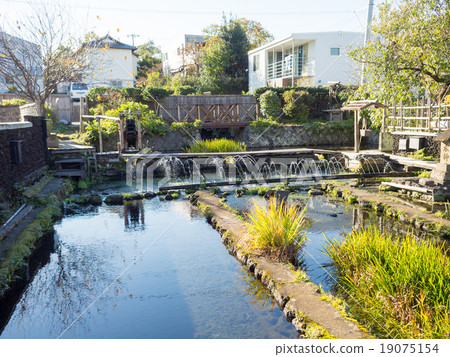 Mishima village algae village 19075154