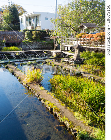 Mishima village algae village 19075156