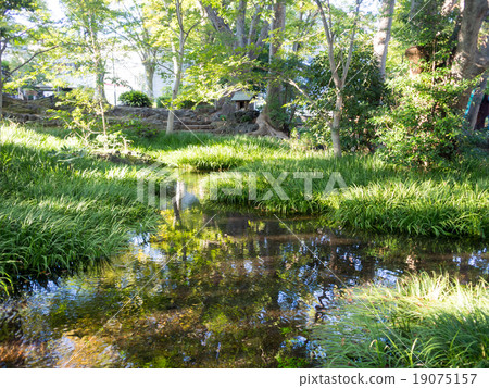 Shirataki公園 Shirataki公園 19075157