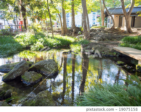 Shirataki Park 19075158