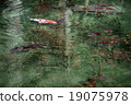 Monkey pond Road shrine Gifu prefecture Seki city 19075978