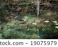 Monkey pond Road shrine Gifu prefecture Seki city 19075979