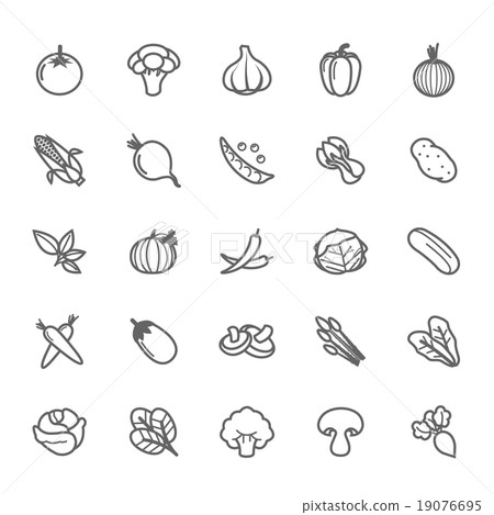 Set of Outline stroke Vegetable icon Vector Set of Outline stroke Vegetable icon Vector 19076695