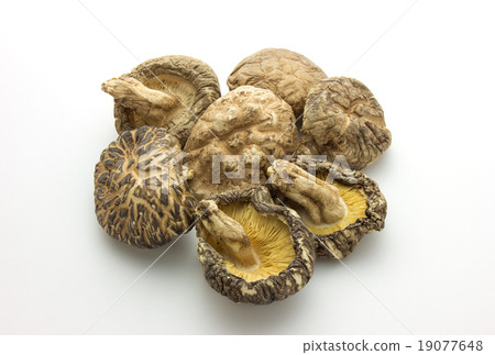 Dried Shiitake Mushrooms Dried Shiitake Mushrooms from Kumamoto 19077648