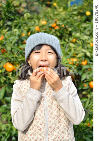狩獵橘子的女孩 19078240