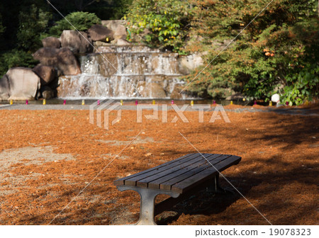 Fallen leaves and falls in late autumn Fallen leaves and falls in late autumn 19078323