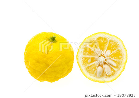 Cut the yuzu 19078925