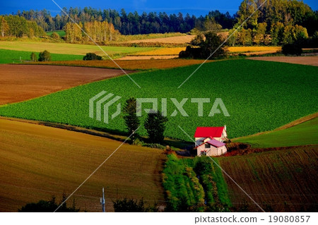 壽別（129） 19080857