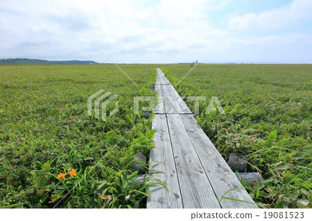 Meguma moor 19081523