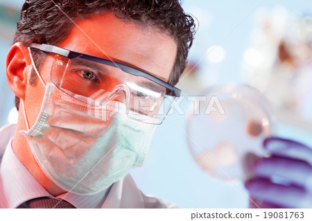Scientist observing petri dish. Scientist observing petri dish. 19081763