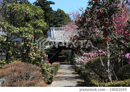 Shiroyama Narutoji Temple in spring Shiroyama Narutoji Temple in spring 19082045