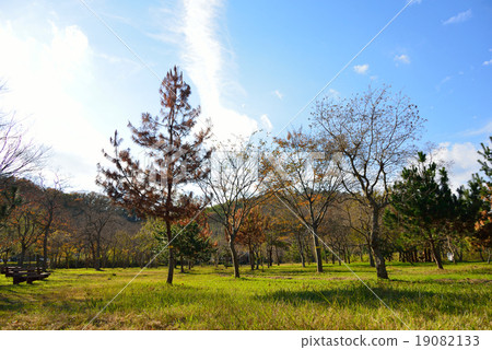 秋天的景色 19082133