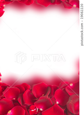 frame of dark  red rose petals 19082220