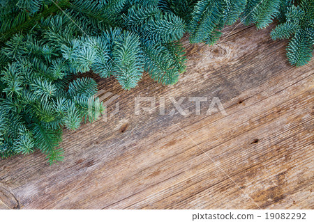 christmas fresh evergreen tree branches 19082292