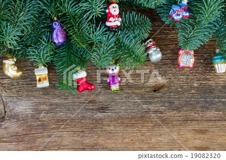 christmas fresh evergreen tree branches 19082320