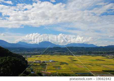 Nagano Electric Railroad car going through the autumn nobutsu rice field (Nakano city, Nagano prefecture) Nagano Electric Railroad car going through the autumn nobutsu rice field (Nakano city, Nagano prefecture) 19082842