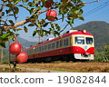 Red apples and apple trains (Nagano Electric Railway 2000 series) 19082844