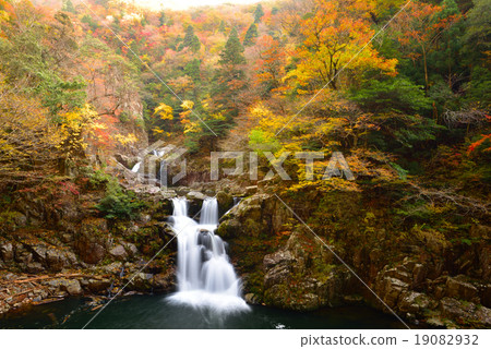 Sansho-ji 3-step waterfall of autumn leaves Sansho-ji 3-step waterfall of autumn leaves 19082932