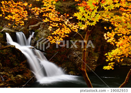 Momiji and Sansei Gori three-step waterfall Momiji and Sansei Gori three-step waterfall 19082933